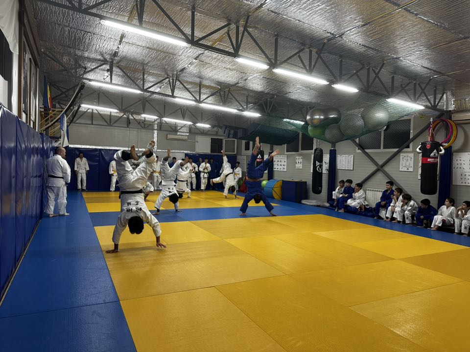 MotiuashiJudoJapan4
